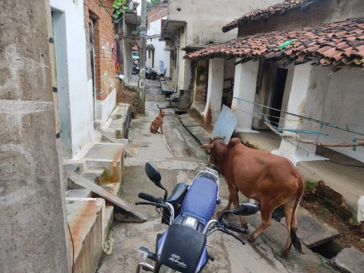 पतली गलियों में अतिक्रमण से परेशान हुए बलौदा निवासी, क्या दुर्घटना के बाद प्रशासन देगा ध्यान?